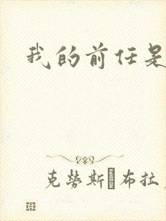 我的前任是极品