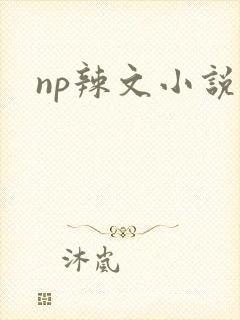 np辣文小说
