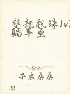 双龙戏珠1v2躺平鱼