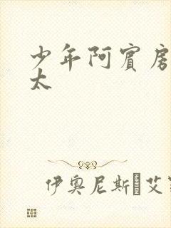 少年阿宾房东太太