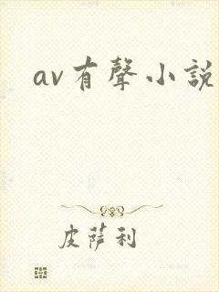 av有声小说