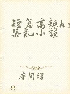 短篇高辣h文合集乱小说封面