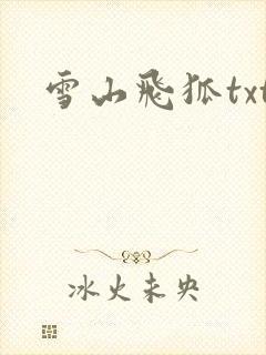 雪山飞狐txt封面