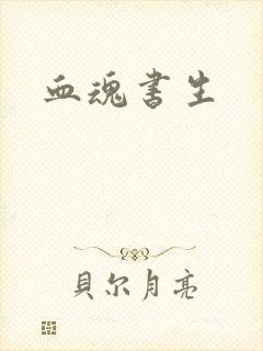 血魂书生封面