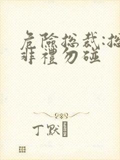 危险总裁:总裁非礼勿碰