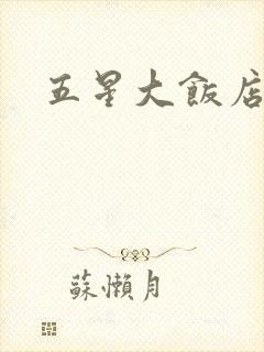 五星大饭店小说