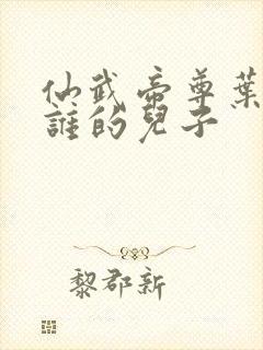 仙武帝尊叶辰是谁的儿子封面