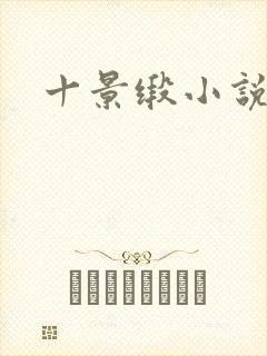 十景缎小说封面