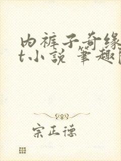 内裤子奇缘txt小说 笔趣阁