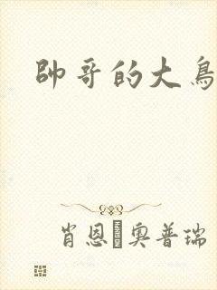 帅哥的大鸟