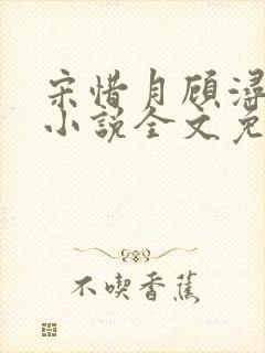 宋惜月顾浔渊的小说全文免费阅读