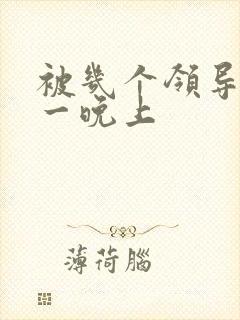 被几个领导玩弄一晚上