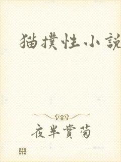 猫扑性小说封面