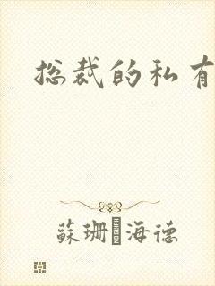 总裁的私有宝贝封面