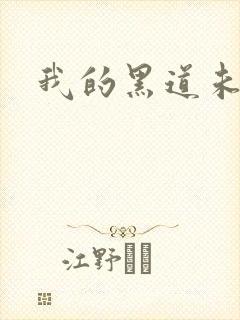 我的黑道未婚夫