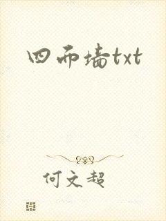 四面墙txt