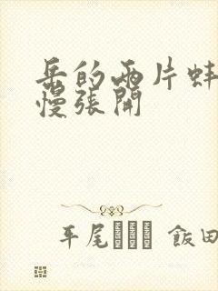 岳的两片蚌肉慢慢张开封面