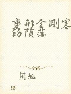 变形金刚塞伯坦的陨落封面