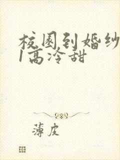 校园到婚纱1V1高冷甜封面