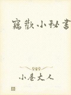 窃欢小秘书