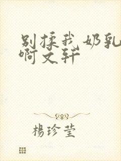 别揉我奶乳嗯～啊文轩