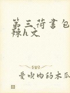 第三荷书包网高辣h文
