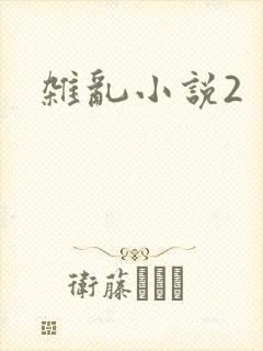 杂乱小说2