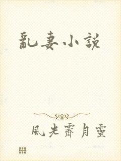乱妻小说