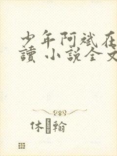 少年阿斌在线阅读 小说全文免费封面