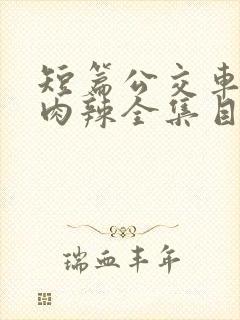 短篇公交车高h肉辣全集目录