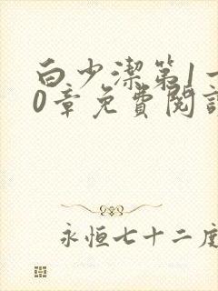 白少洁第1一40章免费阅读封面