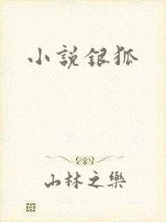 小说银狐