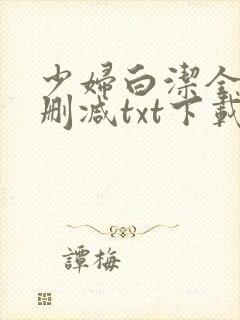 少妇白洁全文无删减txt下载封面