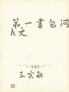 第一书包网高辣h文
