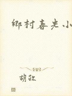 乡村春光小说