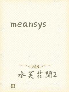 meansys封面