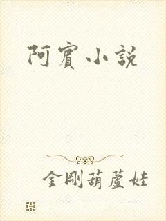 阿宾小说