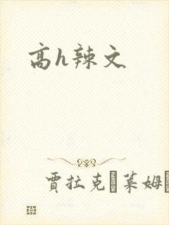 高h辣文封面
