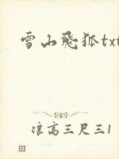 雪山飞狐txt