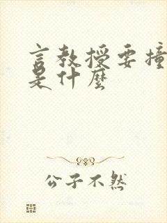 言教授要撞坏了是什么