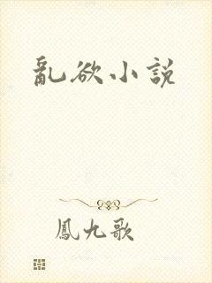 乱欲小说封面