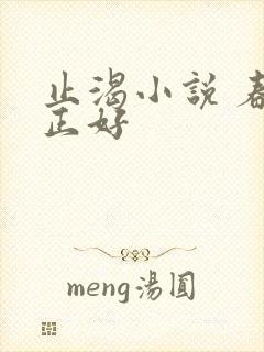 止渴小说 春光正好