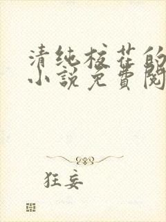 清纯校花的秘密小说免费阅读