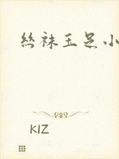 丝袜玉足小说封面