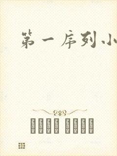 第一序列小说