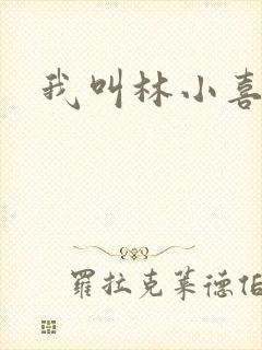 我叫林小喜17封面