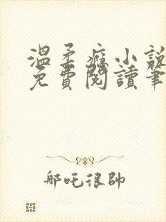 温柔瘾小说全文免费阅读笔趣阁