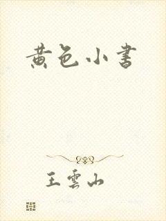 黄色小书
