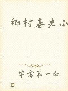乡村春光小说