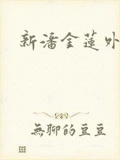 新潘金莲外传封面